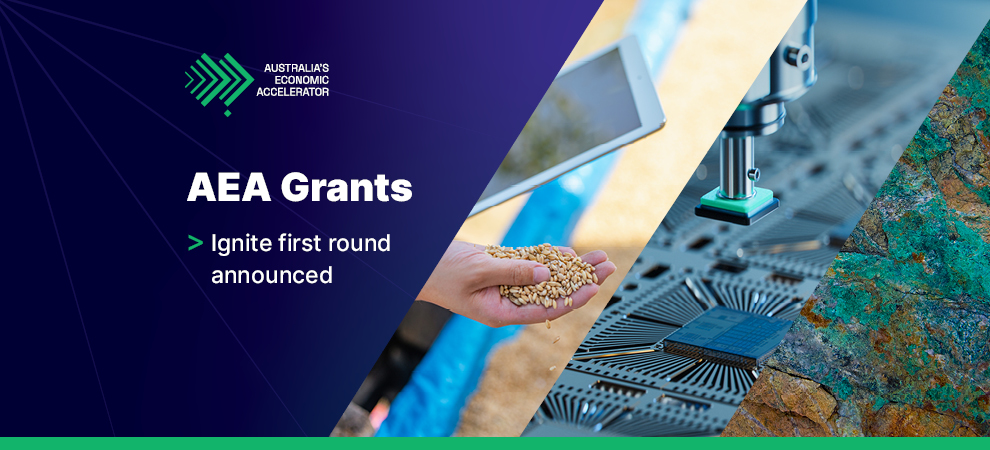 AEA Grants Ignite first round announced