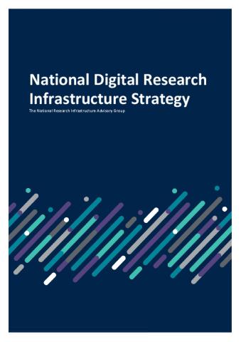 Final NDRI Strategy.pdf