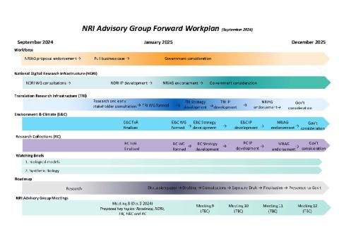 3271 NRIAG Forward Workplan_01.pdf