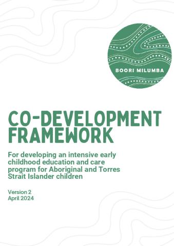 Co-Development Framework_20240912.pdf