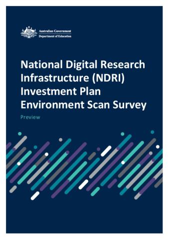 NDRI Investment Plan Environment Scan Survey Preview.pdf