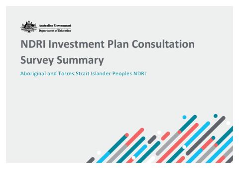 NDRI Investment Plan Consultation Survey_Aboriginal and Torres Strait Islander Peoples NDRI.pdf