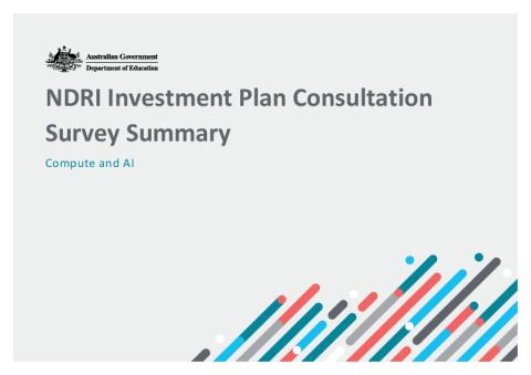 NDRI Investment Plan Consultation Survey_Compute and AI.pdf