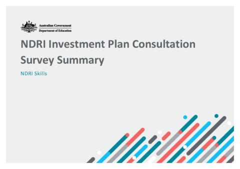 NDRI Investment Plan Consultation Survey_NDRI Skills.pdf