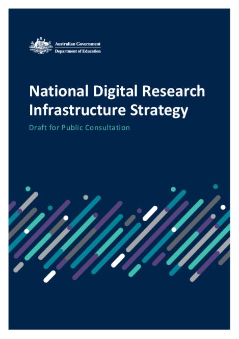 Draft NDRI Strategy - Consultation.pdf