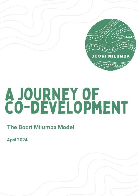 A Journey of Co-development_20240912.pdf