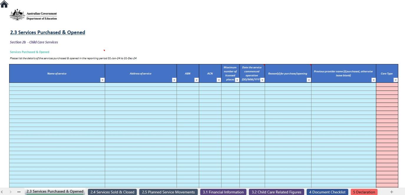 Image of first page of the Large Provider Financial Input Report – 2024 Calendar Year